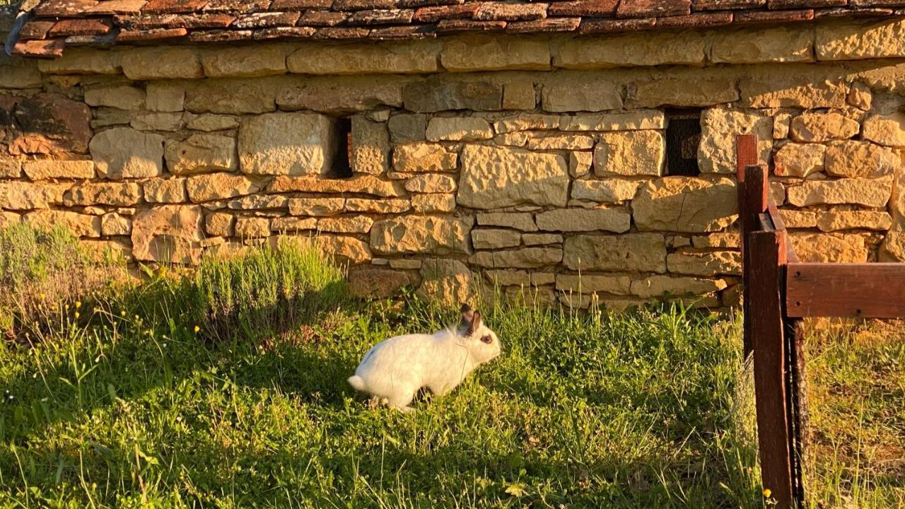 Eco-Hameau Du Sentier Des Sources Villa Sarlat-la-Caneda Luaran gambar