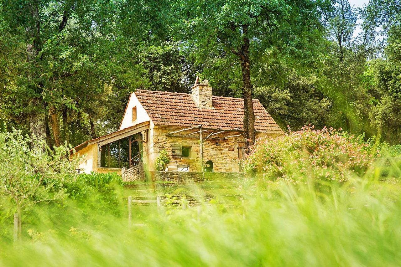 Eco-Hameau Du Sentier Des Sources Villa Sarlat-la-Caneda Luaran gambar