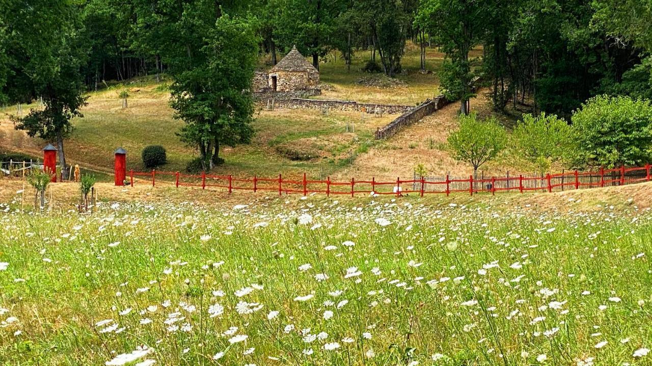 Eco-Hameau Du Sentier Des Sources Villa Sarlat-la-Caneda Luaran gambar