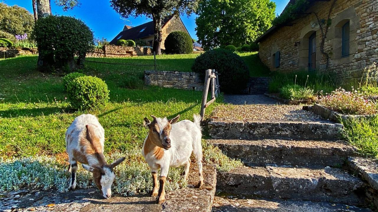 Eco-Hameau Du Sentier Des Sources Villa Sarlat-la-Caneda Luaran gambar